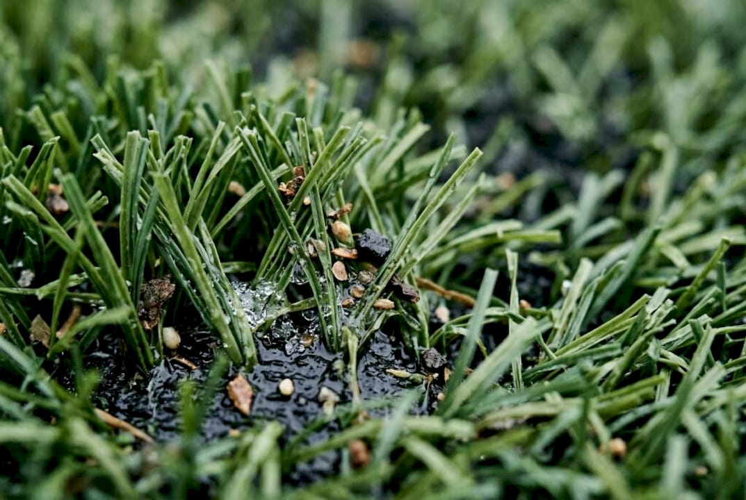 Woman spraying cleaner on artificial grass in backyard