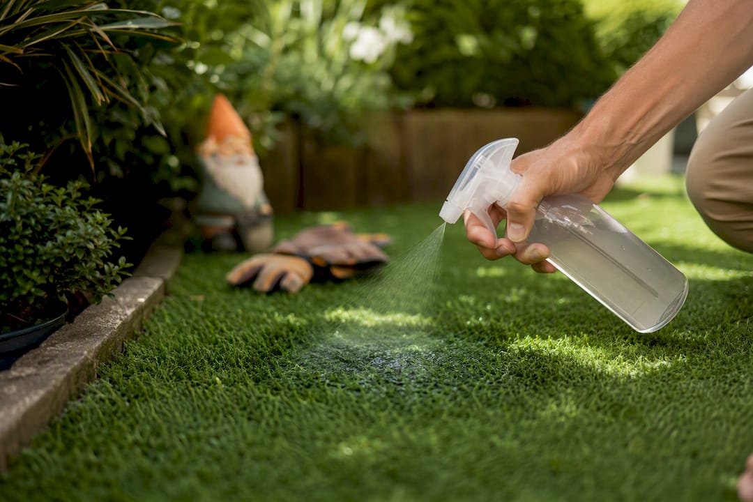 Hand spraying cleaner on urine-stained artificial grass